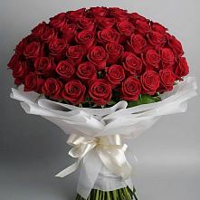 Букет 101 Красная роза Блэк Мэджик в Кировский Астраханской области