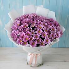 Букет цветов из:  Хризантемы в Кировский Астраханской области