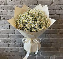 Букет цветов из:  Ромашки #REPLACE_PRED# Кировский Астраханской области