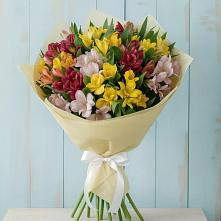 Букет цветов из:  Альстромерии в Кировский Астраханской области