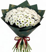 Букет цветов из:  Хризантемы в Кировский Астраханской области