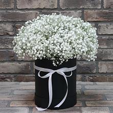 Цветочная композиция из Гипсофила в шляпной коробке в Кировский Астраханской области