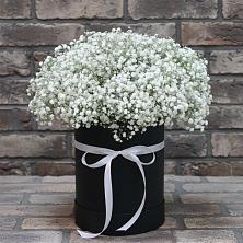 Цветочная композиция из Гипсофила в шляпной коробке в Кировский Астраханской области