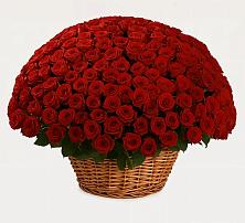 Премиум букет из: Розы #REPLACE_PRED# Кировский Астраханской области