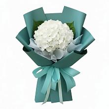 Букет цветов из:  Гортензия #REPLACE_PRED# Кировский Астраханской области
